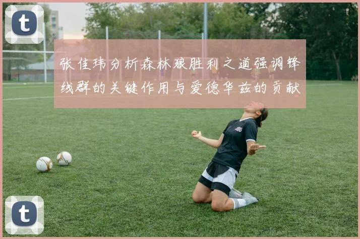 张佳玮分析森林狼胜利之道强调锋线群的关键作用与爱德华兹的贡献