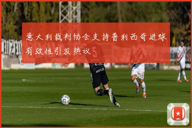 意大利裁判协会支持普利西奇进球有效性引发热议
